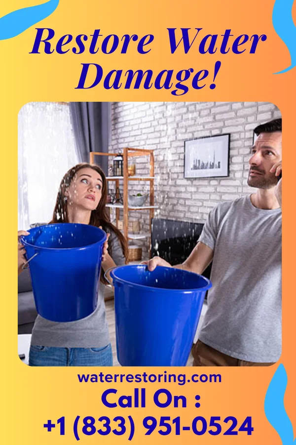 water restoration Silver Damage Recovery Crew Wolfdale