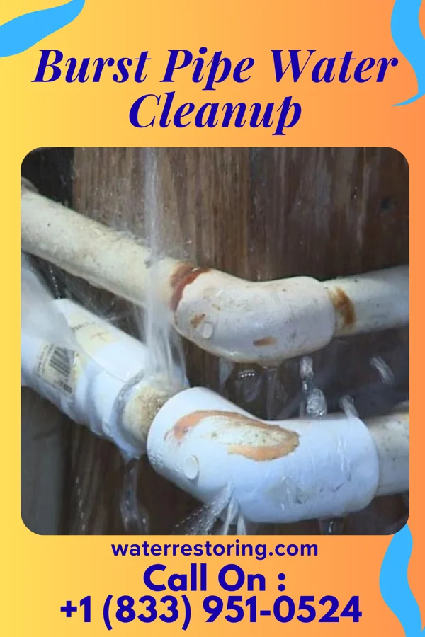 Burst Pipe Water Cleanup in Wolfdale, PA