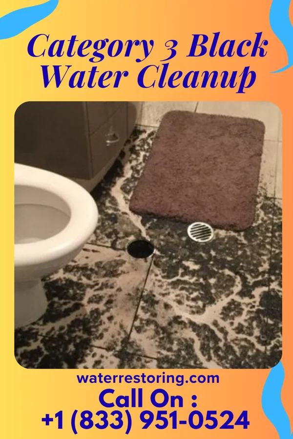 Category 3 Black Water Cleanup in Wolfdale, PA