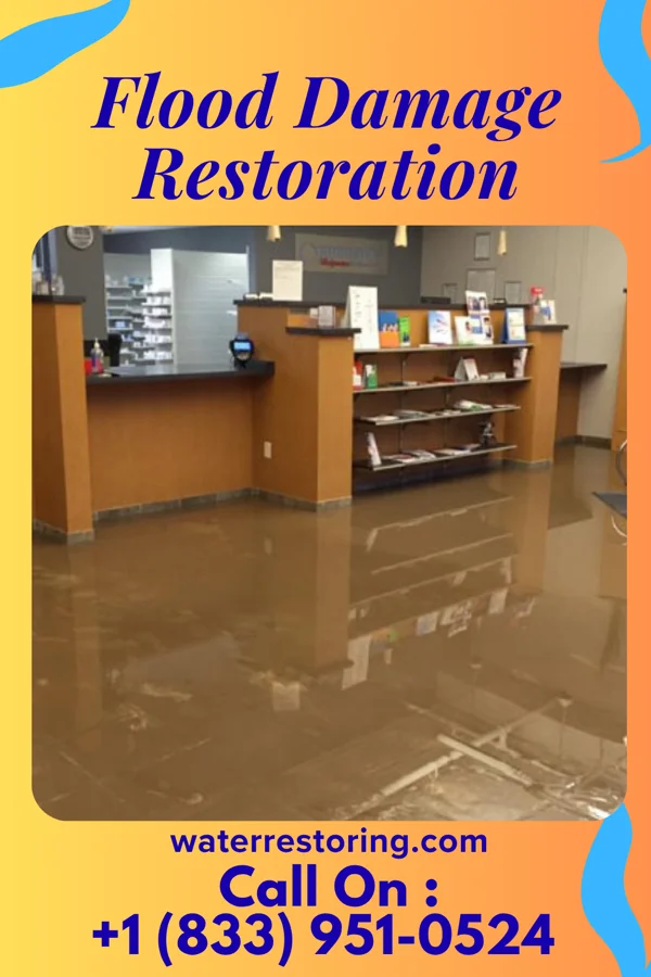 Flood Damage Restoration in Wolfdale, PA