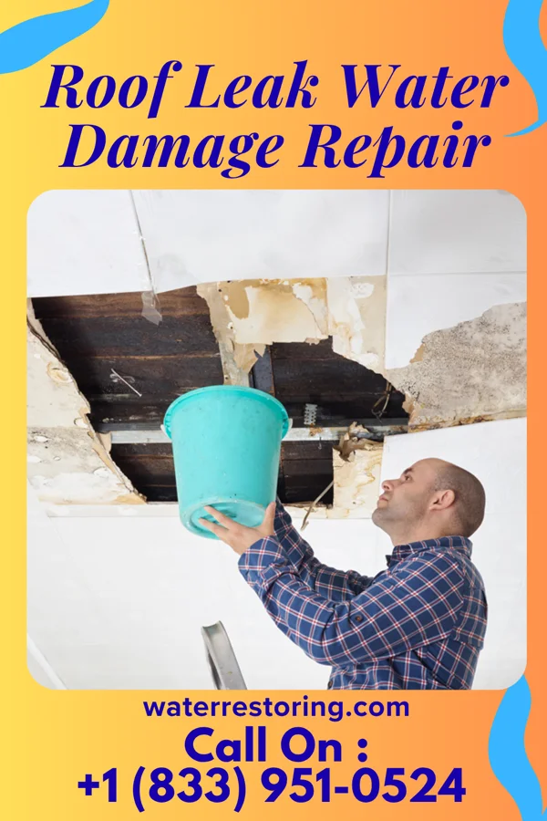 Roof Leak Water Damage Repair in Wolfdale, PA