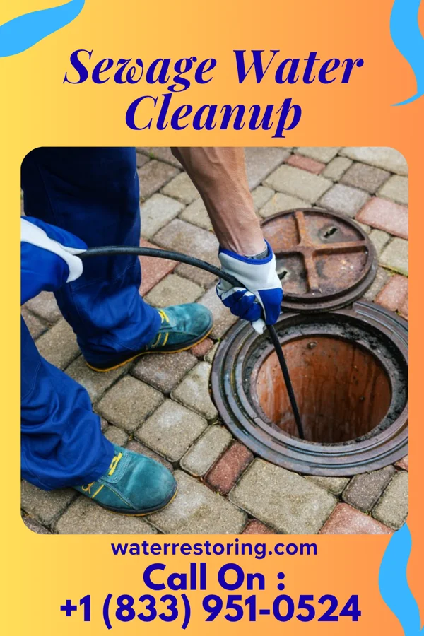 Sewage Water Cleanup in Wolfdale, PA