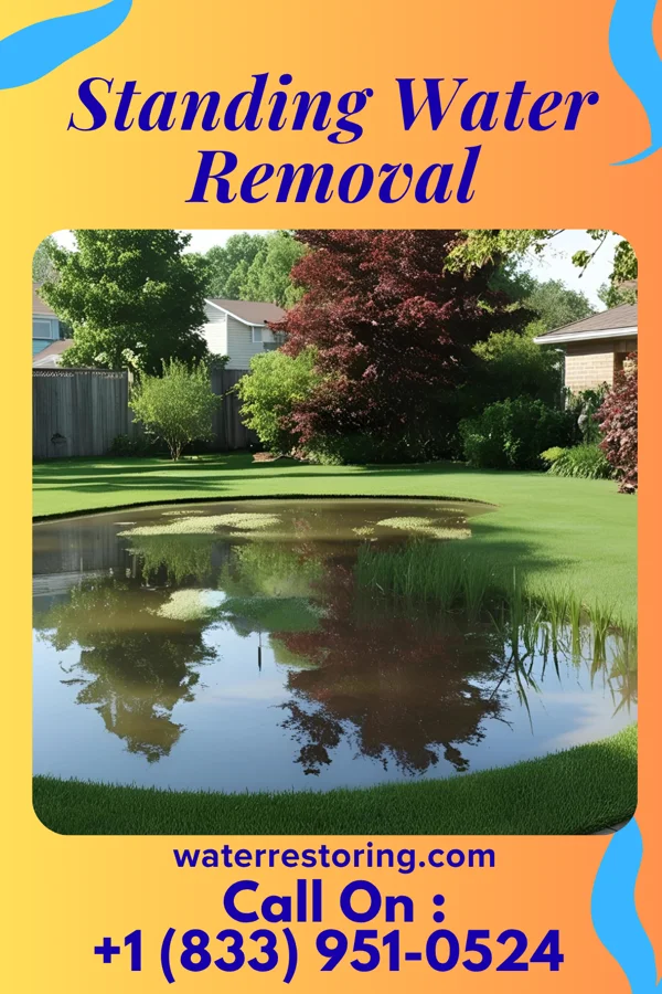 Standing Water Removal in Wolfdale, PA